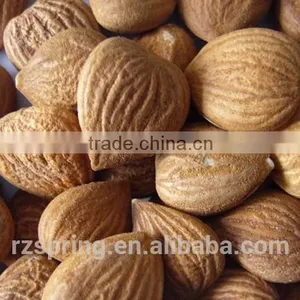 Bitter Apricot Kernels thumbnail-1