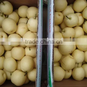 Crown Pear thumbnail-1