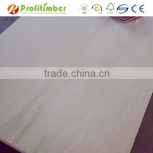 Eucalyptus Boards / Eucalyptus Hardwood Plywood thumbnail-4