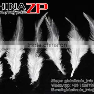 Leading Supplier CHINAZP Bulk Sale Good Quality Beautiful Bleached White Chicken Rooster Saddle Feathers thumbnail-2