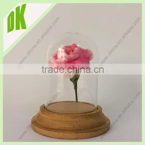 China Supplier for Glass Craft:glass Terrarium,geometric Glass Terrarium,etc / Mini Dome Glass With Wooden Base thumbnail-1