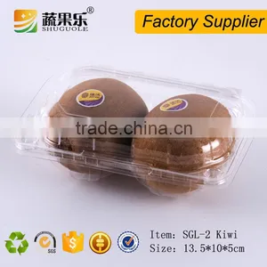 Disposable Plastic Kiwi Container 2 Slot PET Container thumbnail-2
