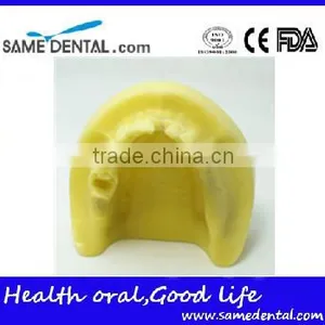 Mandibular Implant Dental Training Model (no Gum) Dental Eduction Assitant No. DEA-22 thumbnail-3