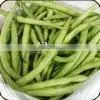 Beans thumbnail-1