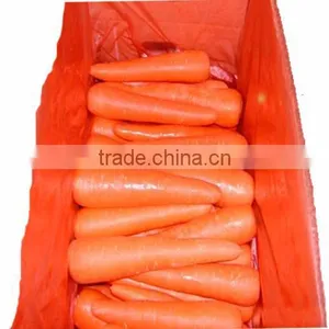 Fresh Carrot 80-150g in 9kg Carton thumbnail-1