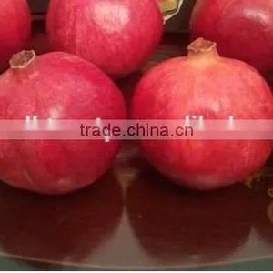 Fresh Pomegranate For Sale thumbnail-1