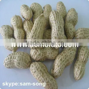 Shandong Shelled Peanut thumbnail-1