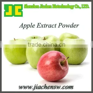 Organic Apple Powder With Polyphenols 80% thumbnail-1
