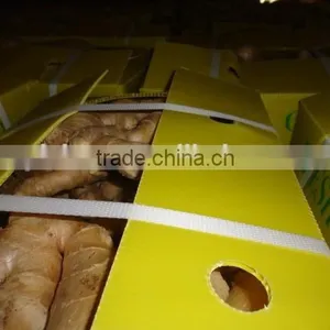 Yellow Color Fresh Ginger thumbnail-4
