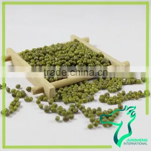 Green Mung Bean/Green Gram/Mung Beans Sprouting thumbnail-5