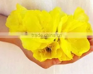 Medical Industries Supplier Organic Evening Primrose Oil NSF thumbnail-2