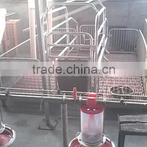 Goldenest High Quality Cheap Price Automatic Farrowing Crate for Pigs Sow Sty Farming Equipment for Sale thumbnail-3