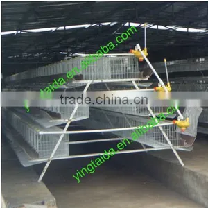 Eggs Checkin Cage thumbnail-3