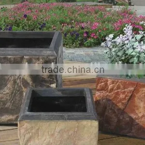 Resin Plant RSPTG-03C thumbnail-1