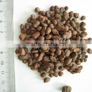 Factory Supply 0.5-8mm Ceramsite Filter Media for Water Treatment thumbnail-1