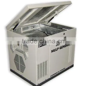 12kw Natural Gas/ LPG Generator thumbnail-1