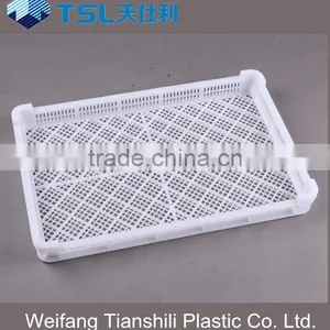 2017 PE Type Frozen Food Plastic Tray thumbnail-1