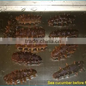 TPV-10G Top-press Vacuum Freeze Dryer With PID Controller and Touching Screen thumbnail-2