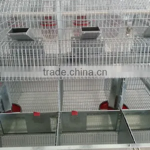 Rabbit Raising Equipment thumbnail-4