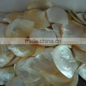 Wholesale Polished White Yellow Mother of Pearl Raw Shells thumbnail-1