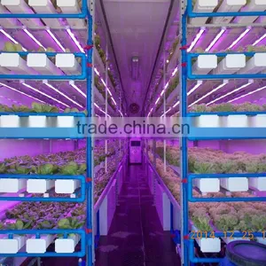 Greenhouse Fabrics thumbnail-3