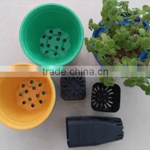 Interior Decorative Pots thumbnail-6
