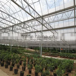 Polycarbonate Greenhouse thumbnail-1