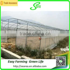 Professional Greenhouse Manufacturer Complete Greenhouse for Sale thumbnail-1