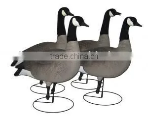 Hunting Birds thumbnail-1