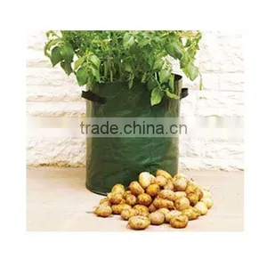 Potato Planting Bag thumbnail-4