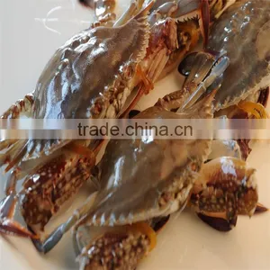 Frozen Cheaper Crabs With Superior Supplier thumbnail-1