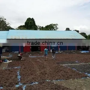 Sell Gracilaria, Eucheuma Spinosum And Eucheuma Cottoni Seaweeds thumbnail-1
