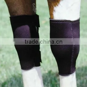 2012 Hot Sell Neoprene Horse Knee Boots Wraps thumbnail-1
