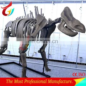 3m Length Life Size Fibrglass Realistic T-rex Dinosaur Fossils thumbnail-6
