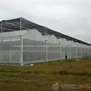 Durable Multi Span Agriculture Equipment Polythene Greenhouse thumbnail-4