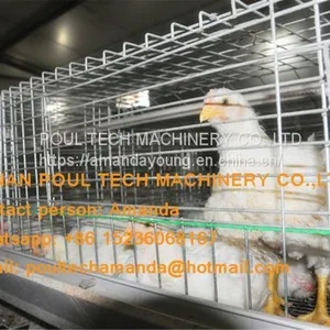 Vietnam Poultry Farm A Type Battery Broiler Cage System & Chicken Cage & to Improve Chicken Meat Production thumbnail-2