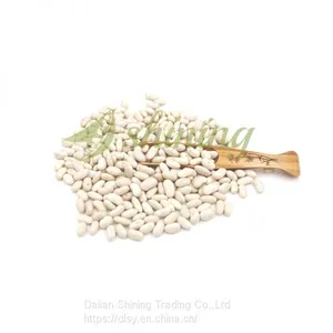 Spanish White Kidney Beans thumbnail-5