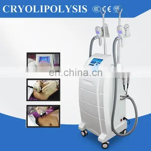 Cryolipolise With 4 Handles Fat Freezing Cryotherapy Machine thumbnail-3