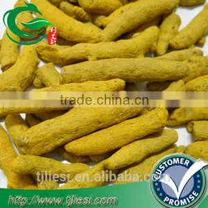 Supply Tumeric Root for Pungent Spice thumbnail-1