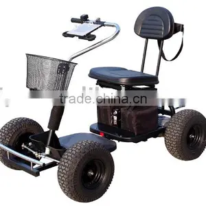 Electric Golf Cart thumbnail-1