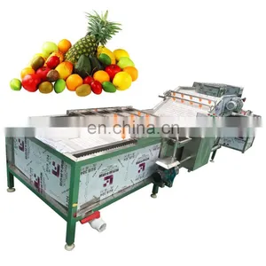 Stainless Steel Apple/pear/mango/fruit/vegetable Washing/cleaning/processing Machine/equipment thumbnail-1