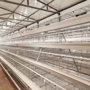 Poultry Farming Equipment Automatic Chicken Battery Cage thumbnail-1