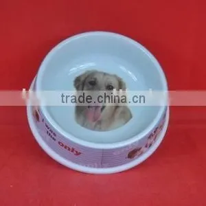 Dog Bowl thumbnail-1