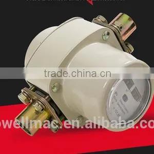 Roots Type Flow Meter( Gas Flow Meter) thumbnail-6