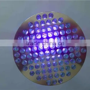 Black Light Flashlight uv Light Torch, Pet Urine Detector uv Flashlight, uv Torch Credit Card Flashlight Quality Choice thumbnail-3