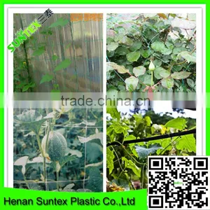 Heavy Duty Long-lasting Flexible Trellis Netting Plant Support Web thumbnail-5