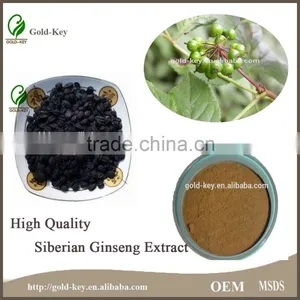 8%-15% Eleutheroside Natural Siberian Ginseng Extract thumbnail-1
