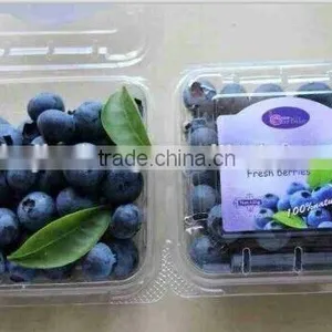 Blueberry Custom Boxes;blueberry Box;blueberry Container thumbnail-3