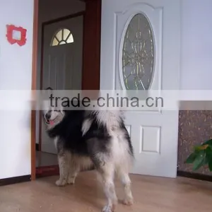 Modern House Design Fiberglass Door With SMC Material thumbnail-3
