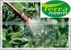 Azadirachta Indica Oil-Neem Liquid Fertilizer thumbnail-1